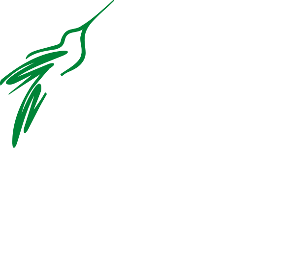 NG Stones